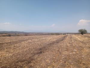 Terreno en venta en Tequesquitengo, Jojutla — foto 3 de 4