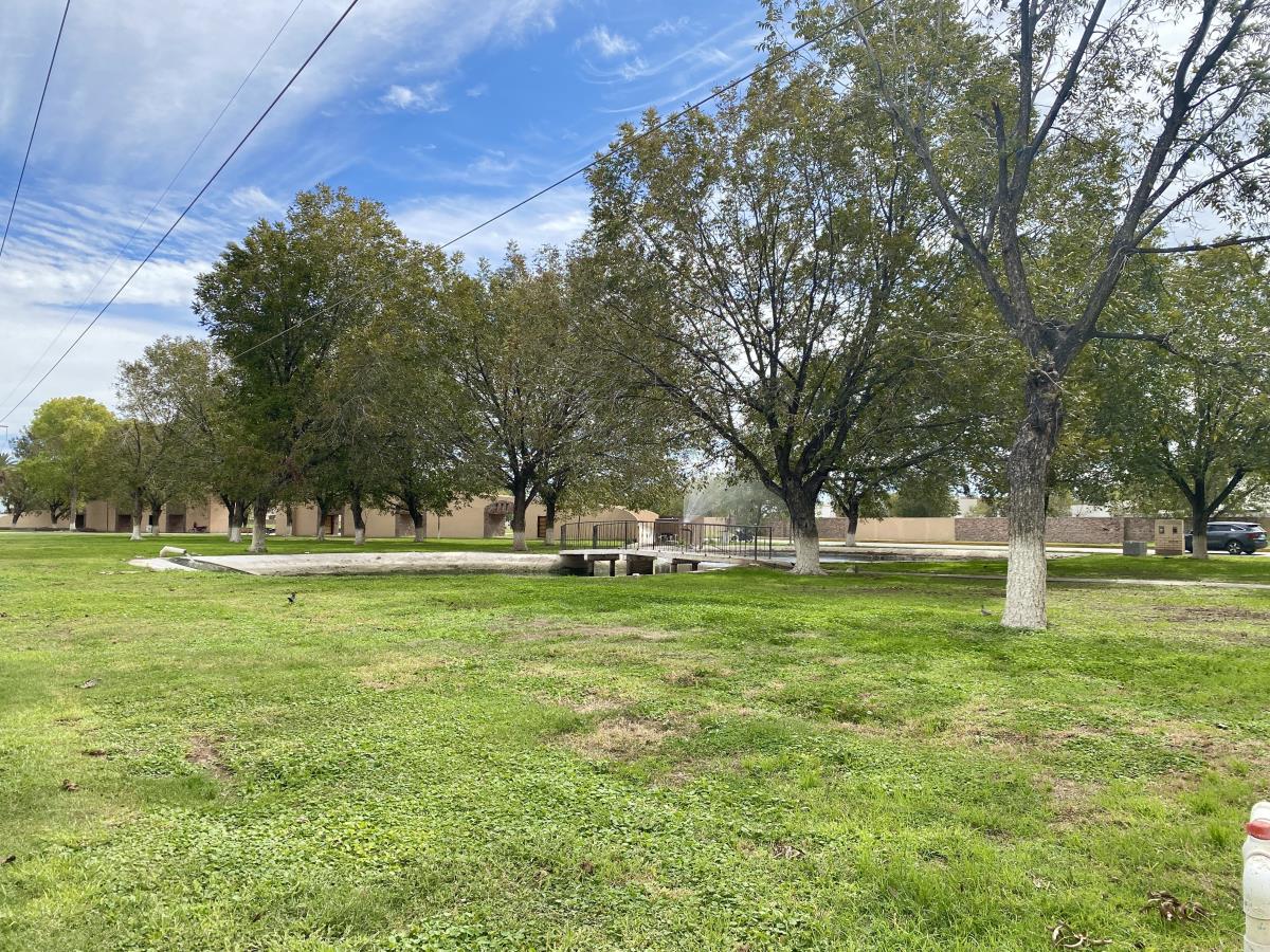 Terreno en venta en Las Trojes, Torreón — foto 1 de 11