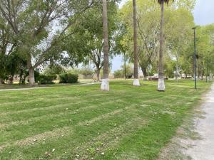 Terreno en venta en Las Trojes, Torreón — foto 3 de 11