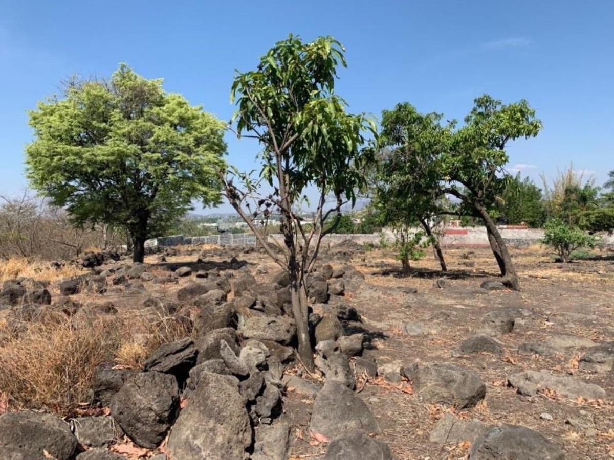 Terreno en venta en Benito Juarez, Emiliano Zapata — foto 1 de 19