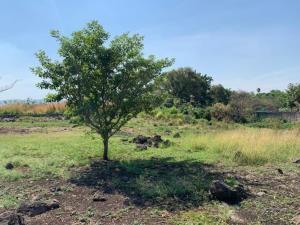 Terreno en venta en Benito Juarez, Emiliano Zapata — foto 2 de 19