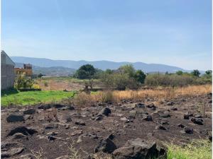 Terreno en venta en Benito Juarez, Emiliano Zapata — foto 3 de 19