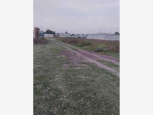 Terreno en venta en Santa Maria Tonanitla, Tonanitla — foto 2 de 9