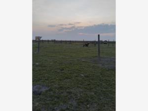 Terreno en venta en Santa Maria Tonanitla, Tonanitla — foto 3 de 9