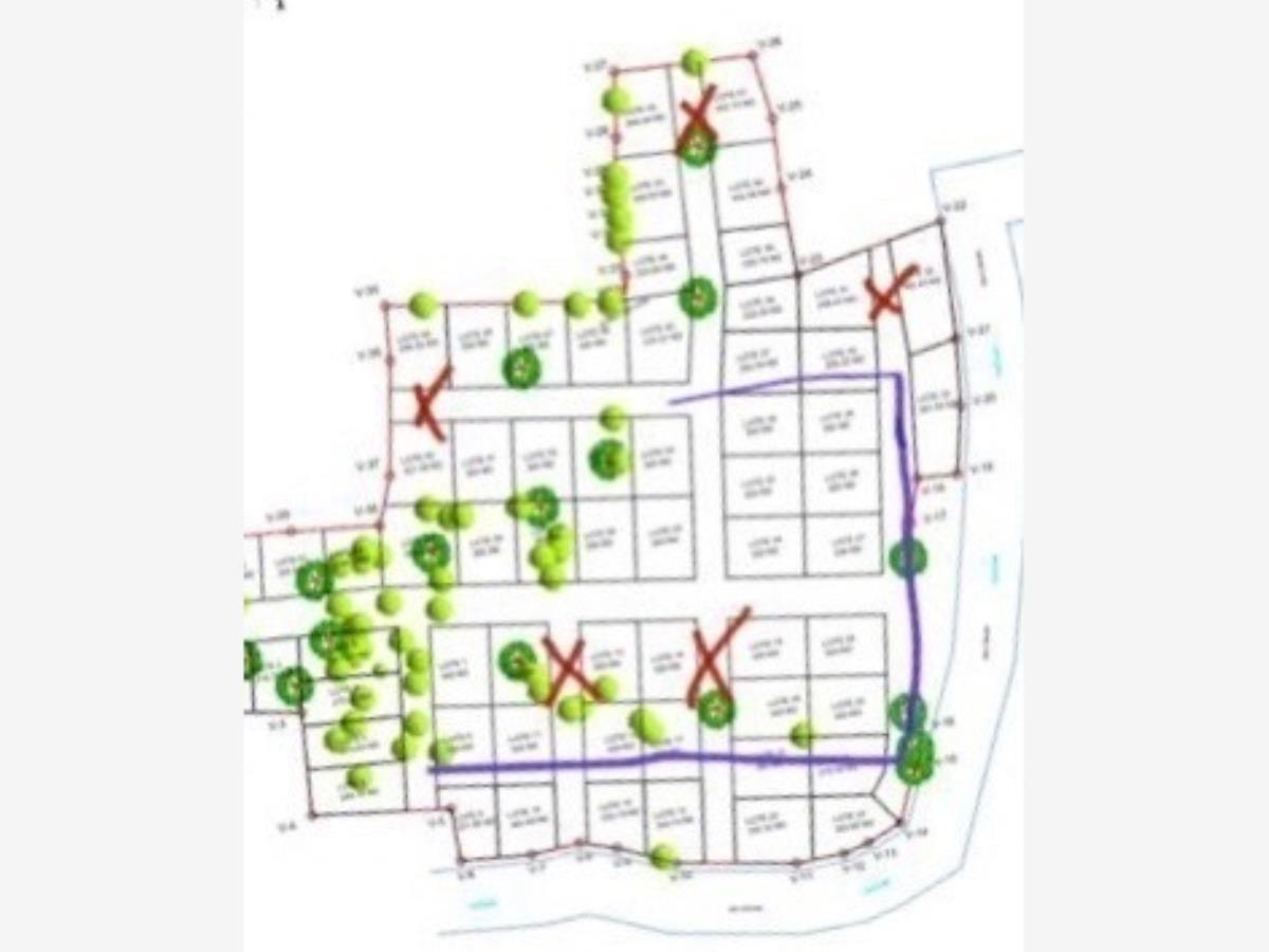 Terreno en venta en Tetecala, Tetecala — foto 1 de 2