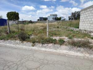 Terreno en venta en Amaque, Mineral de la Reforma — foto 3 de 5