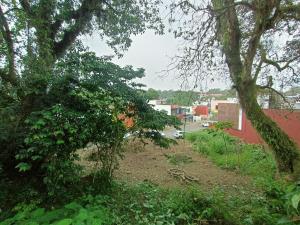 Terreno en venta en San José, Coatepec — foto 3 de 11