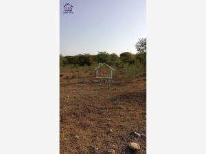 Terreno en venta en San Vicente Tancuayalab Centro, San Vicente Tancuayalab — foto 2 de 4