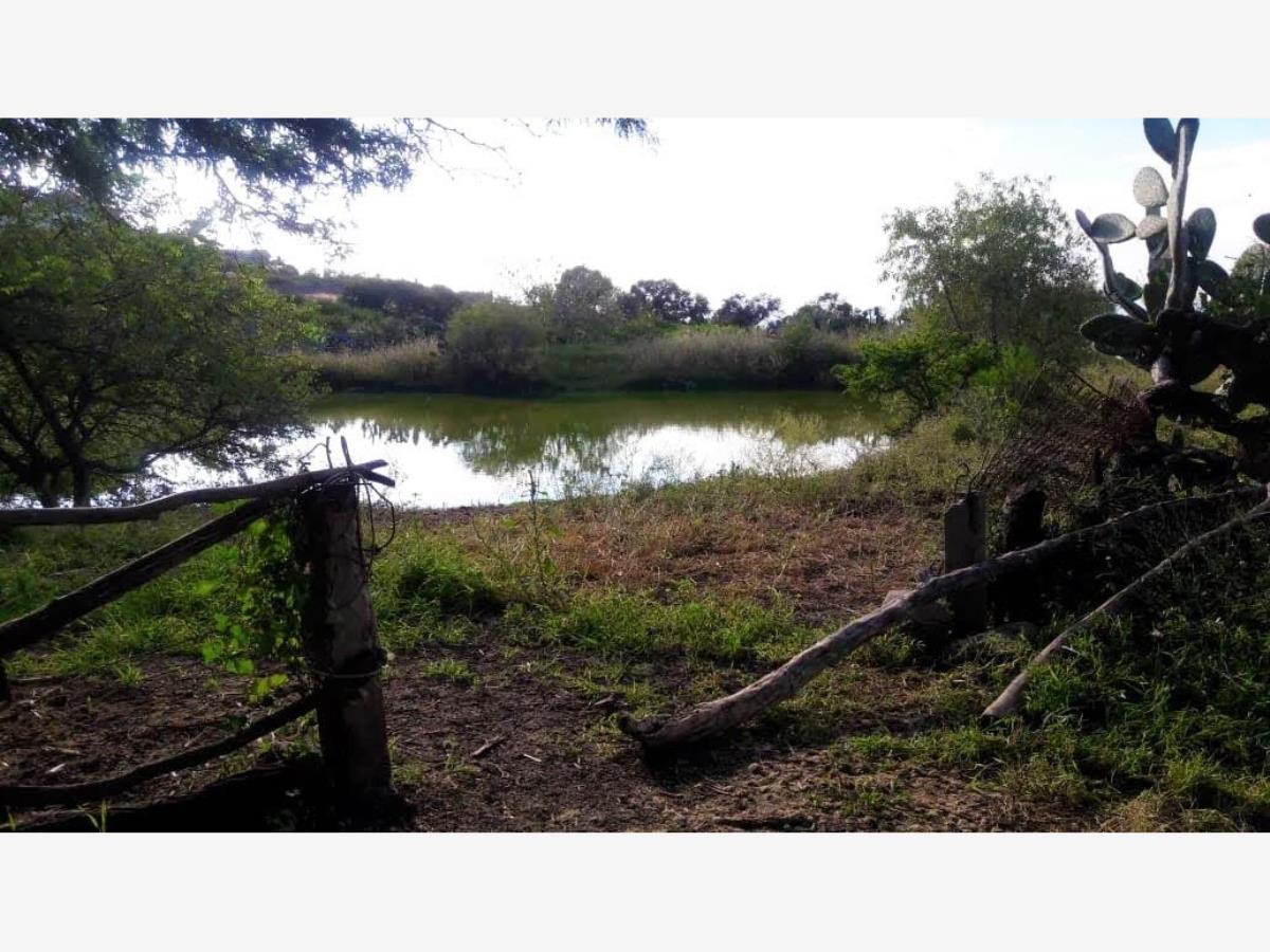 Terreno en venta en Los Olvera, Corregidora — foto 1 de 4