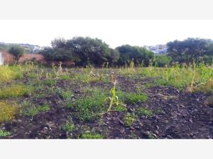 Terreno en venta en Los Olvera, Corregidora — foto 2 de 4