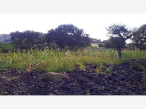 Terreno en venta en Los Olvera, Corregidora — foto 3 de 4