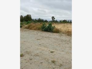 Terreno en venta en El Porvenir (Guadalupe), Ensenada — foto 3 de 23