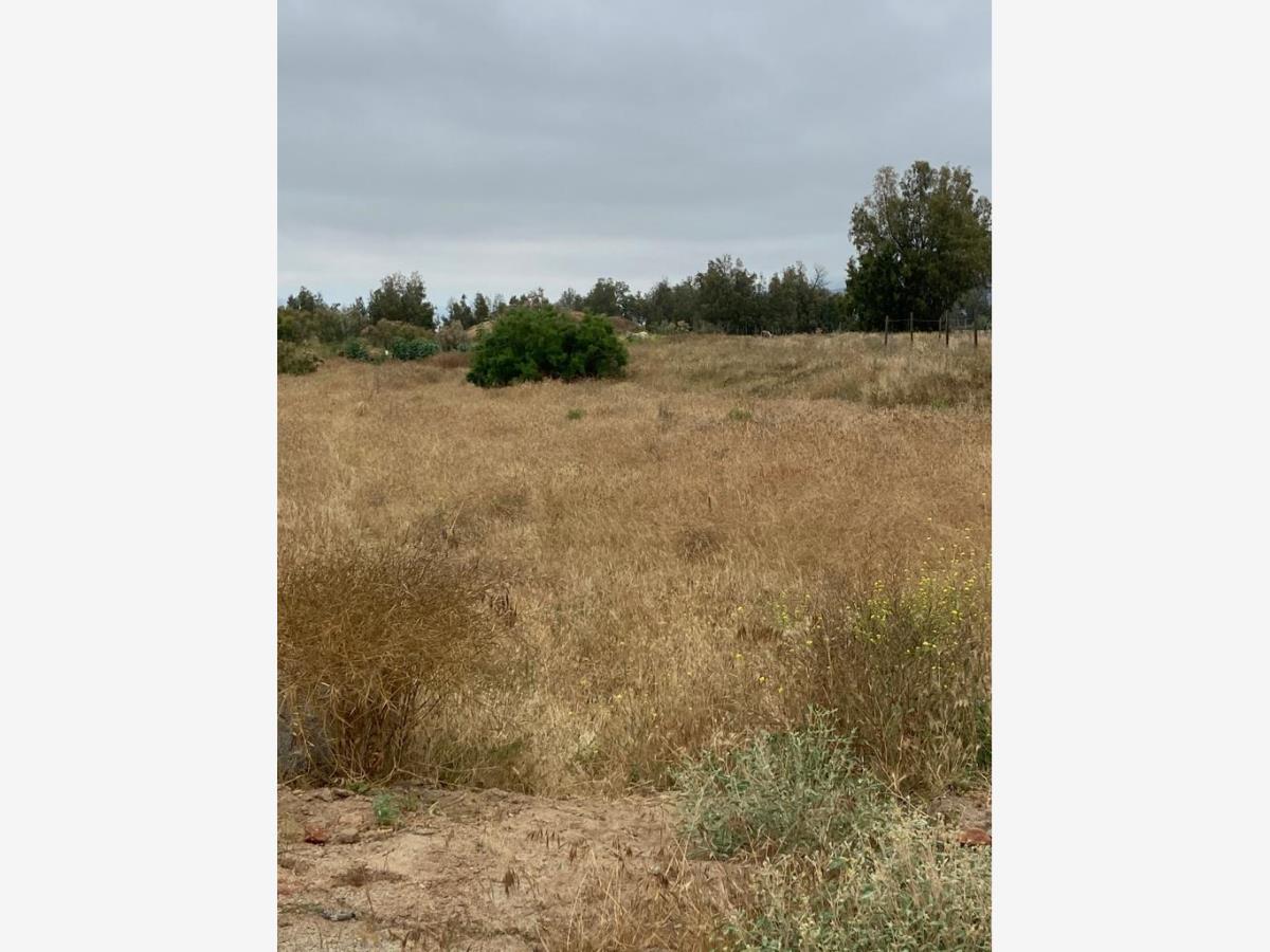 Terreno en venta en El Porvenir (Guadalupe), Ensenada — foto 1 de 23