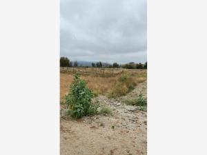 Terreno en venta en El Porvenir (Guadalupe), Ensenada — foto 2 de 23