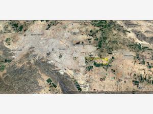 Terreno en venta en El Olivo, Matamoros, Coahuila de Zaragoza Terreno en venta en El Olivo, Matamoros, Coahuila de Zaragoza