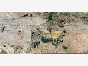 Terreno en venta en El Olivo, Matamoros — foto 2 de 4