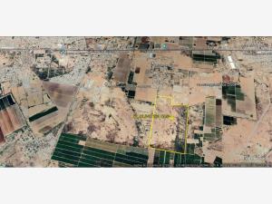 Terreno en venta en El Olivo, Matamoros — foto 3 de 4