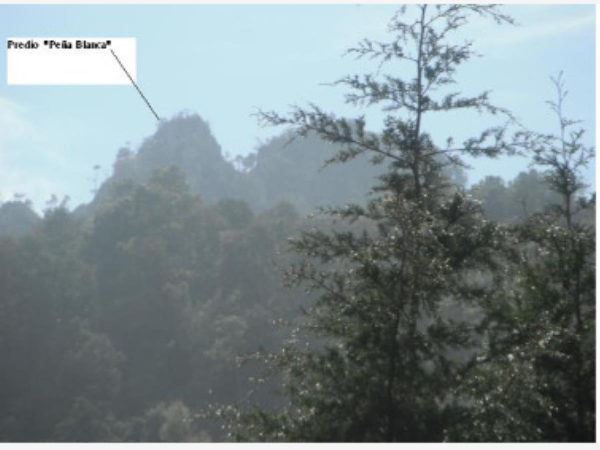Terreno en venta en Jilotepec, Zacapoaxtla