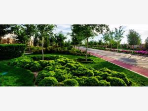 Terreno en venta en Altozano la Nueva Laguna, Gómez Palacio — foto 3 de 5