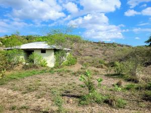 Terreno en venta en La Colonia (Estación Colonias), Altamira — foto 3 de 14
