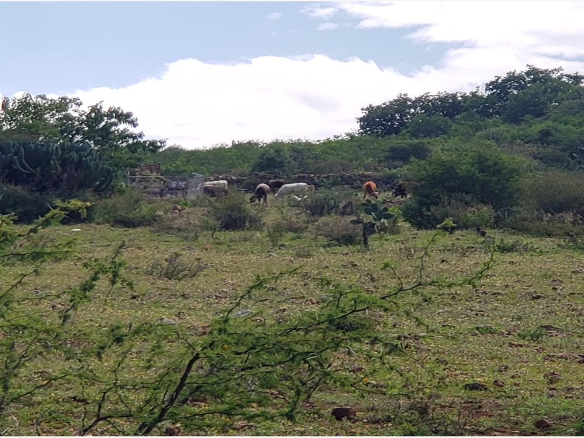Terreno en venta en San Jose Navajas, El Marqués — foto 1 de 5