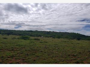 Terreno en venta en San Jose Navajas, El Marqués — foto 3 de 5