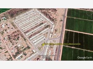Terreno en venta en Rancho Alegre, Torreón — foto 2 de 4