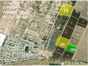 Terreno en venta en El Perú, Torreón — foto 2 de 3