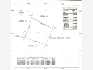 Terreno en venta en El Perú, Torreón — foto 3 de 3