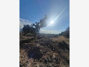 Terreno en venta en Santa María la Calera, Mineral de la Reforma — foto 2 de 5