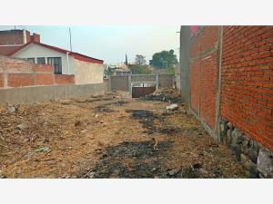 Terreno en venta en Agua Hedionda, Cuautla — foto 2 de 5