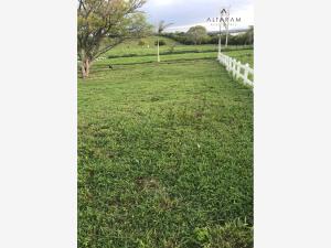 Terreno en venta en Tampico Alto Centro, Tampico Alto — foto 3 de 5