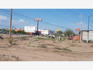 Terreno en renta en Agua Nueva, San Pedro — foto 2 de 6