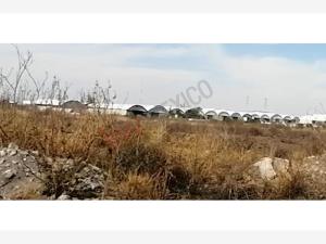 Terreno en venta en Rancho del Carmen (La Peña), Apaseo El Alto — foto 2 de 9