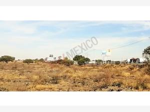 Terreno en venta en Rancho del Carmen (La Peña), Apaseo El Alto — foto 3 de 9
