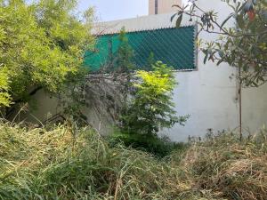 Terreno en venta en San Pedro Garza García Centro, San Pedro Garza García — foto 3 de 4