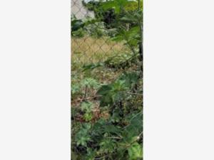 Terreno en venta en Camelinas, Morelia — foto 3 de 3