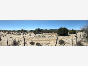 Terreno en venta en Heroes de la Independencia (llano Colorado), Ensenada — foto 3 de 26