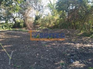 Terreno en venta en La Victoria Kilómetro 47, Papantla — foto 3 de 10