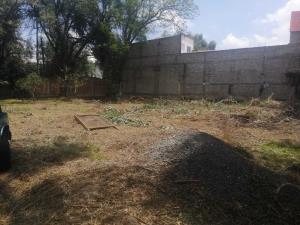 Terreno en venta en Los Pájaros, Corregidora — foto 3 de 4