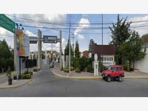 Casa en venta en San Luis Mextepec, Zinacantepec — foto 3 de 8