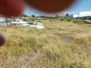 Terreno en venta en Capricho, Apaseo El Grande — foto 3 de 10