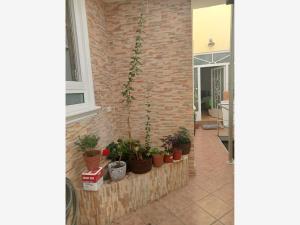 Casa en venta en Claveria, Azcapotzalco — foto 2 de 28