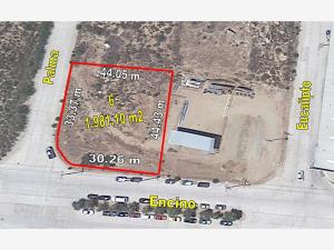 Terreno en venta en Industrial, Tecate, Baja California