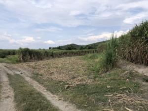 Terreno en venta en 3 de Mayo (El Tepiolol), Tlaquiltenango — foto 3 de 13