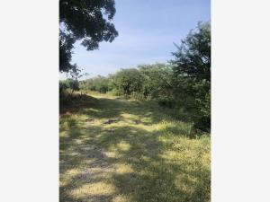 Terreno en venta en Tlaquiltenango, Tlaquiltenango — foto 2 de 5