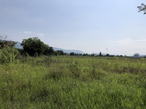 Terreno en venta en Tlaquiltenango, Tlaquiltenango — foto 3 de 5