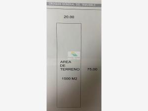 Terreno en venta en Fracción Rivera, Soledad de Graciano Sánchez — foto 2 de 7