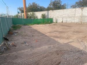 Terreno en renta en La Union, Torreón — foto 3 de 6