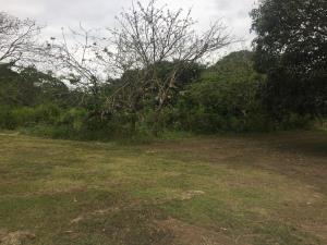 Terreno en venta en El Zanjon, Jamapa — foto 3 de 10